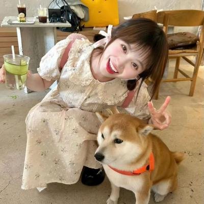 默默的小理河海报